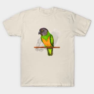 Senegal parrot watercolor T-Shirt